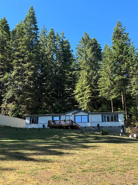 A white house with a porch is surrounded by tall green trees.