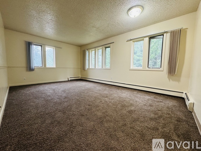 A room with brown carpet and three windows.