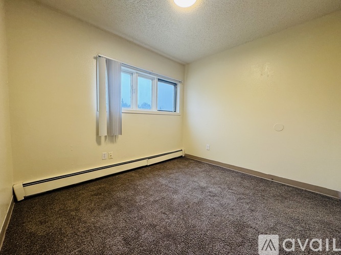 A room with a carpeted floor and a window with a white curtain.
