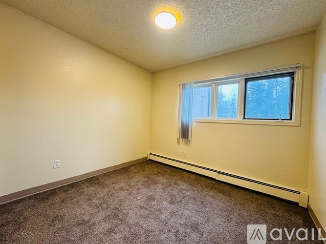 A room with a window and a carpeted floor.