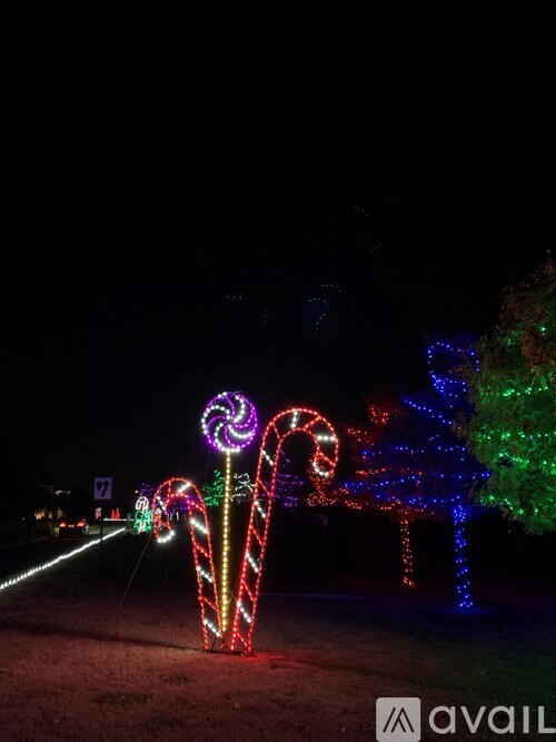 A nighttime scene of a road with a string of lights in the shape of a candy cane.