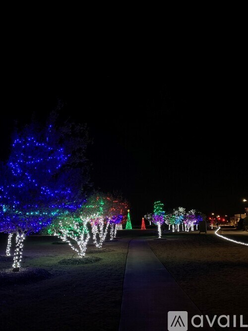 A pathway lined with trees decorated with Christmas lights.