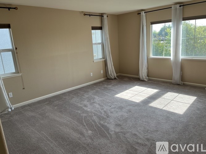 A room with a carpeted floor and three windows.
