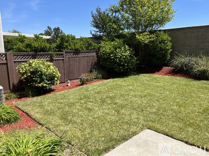 A well-maintained lawn with a fence and shrubs.