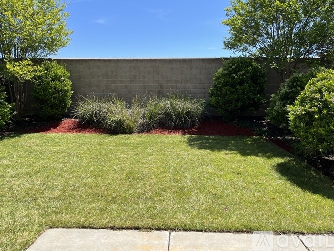 A backyard with a well-maintained lawn and a concrete walkway.