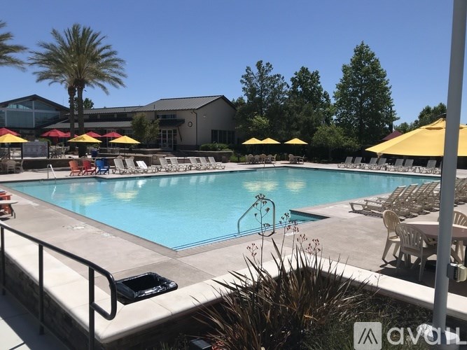 A pool with chairs and umbrellas is surrounded by trees.