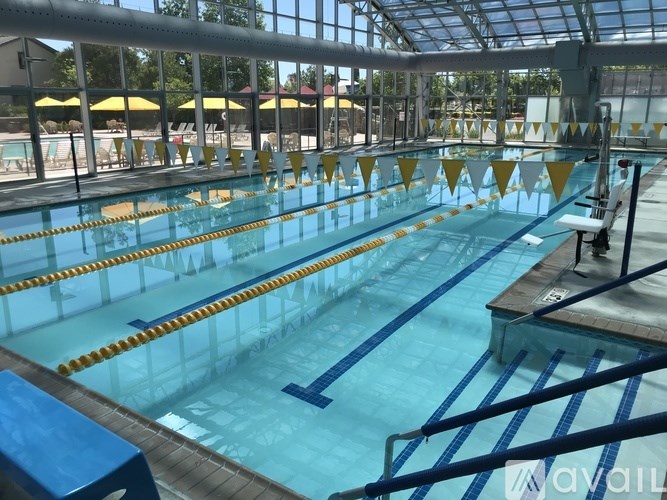 A large indoor swimming pool with lanes marked by yellow and blue tape.