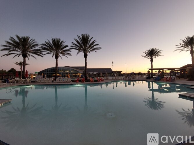 A pool surrounded by palm trees at dusk.