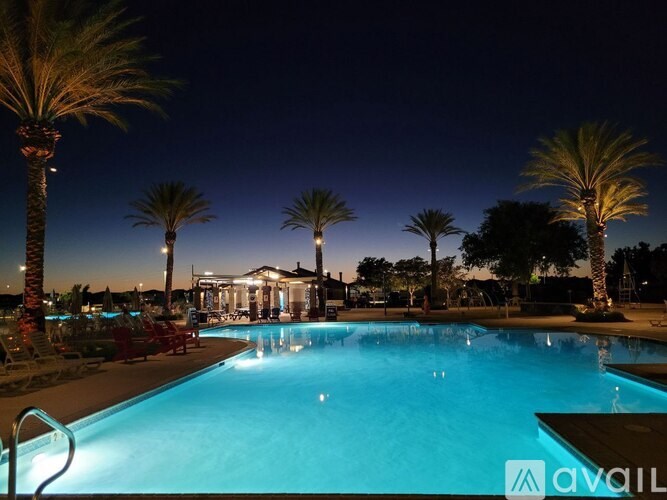 A pool surrounded by palm trees at night.