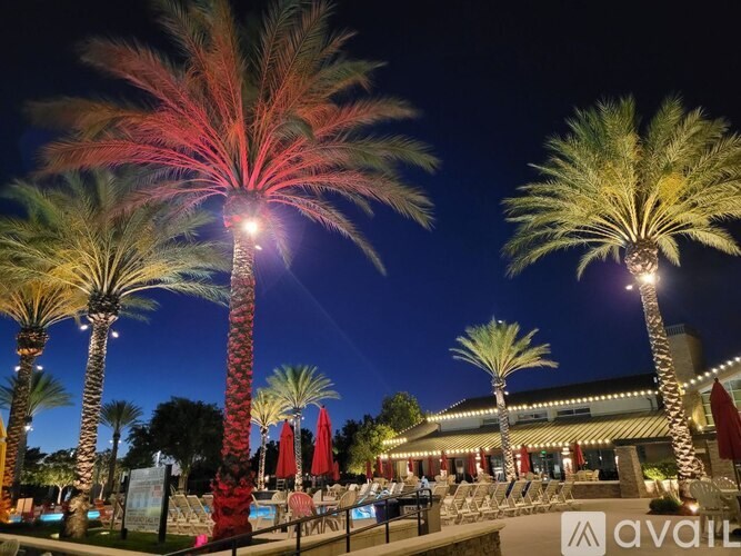 A pool area with palm trees and lit up umbrellas at night.