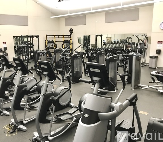 A gym with a variety of exercise equipment including treadmills, stationary bikes, and weight machines.