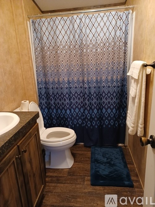 A bathroom with a toilet, sink, and shower curtain.