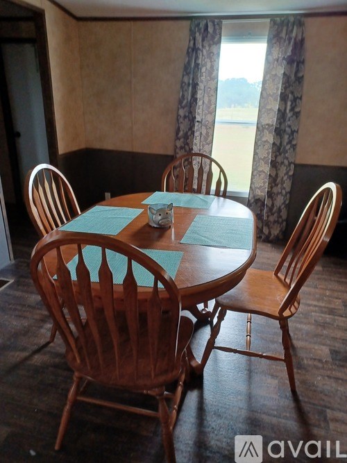 A wooden dining table with chairs and a cat on the table.