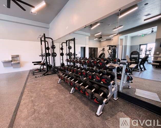 A gym with a row of black dumbbells on a rack.