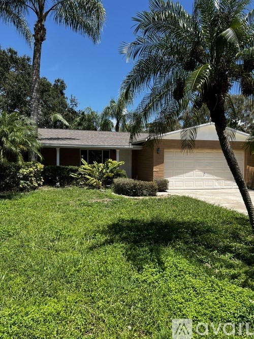 A house with a white garage door and a palm tree in front.