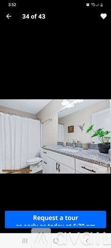 A kitchen with a white countertop and a plant on the counter.
