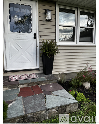 A white door with a glass window and a black planter on a stone step.
