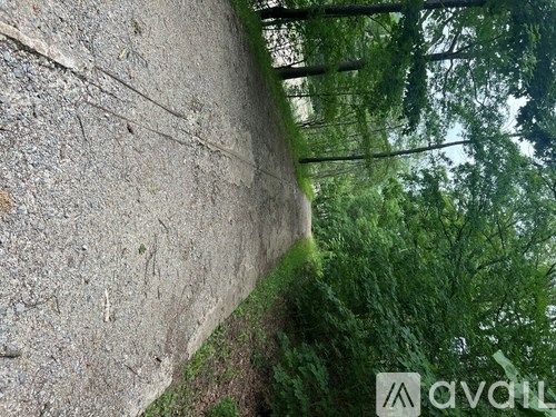 A concrete wall with moss growing on it.