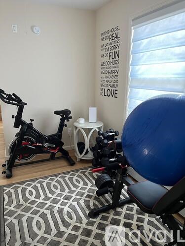 A room with a stationary bike, a blue exercise ball, and a black and white patterned rug.