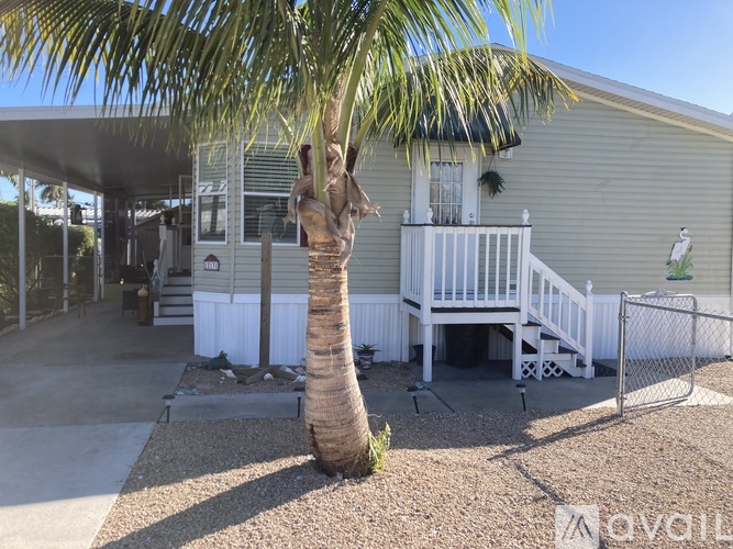 A palm tree stands in front of a house with a white fence.