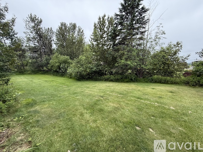 A grassy field with trees in the background.