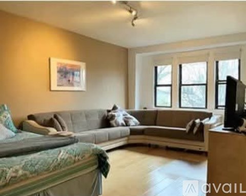 A living room with a grey couch and a green blanket on it.