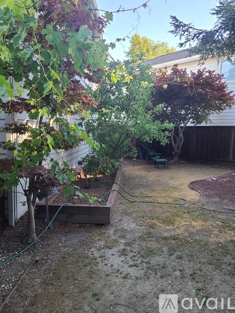 A backyard with a tree, a bench, and a hose.