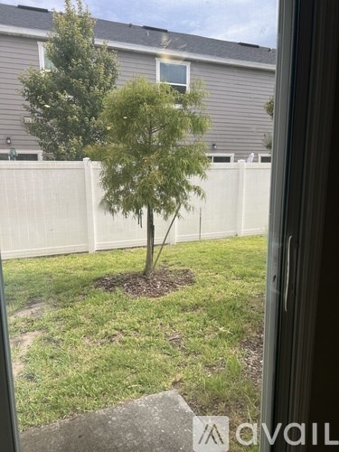 A tree in a brown pot sits in a grassy yard.