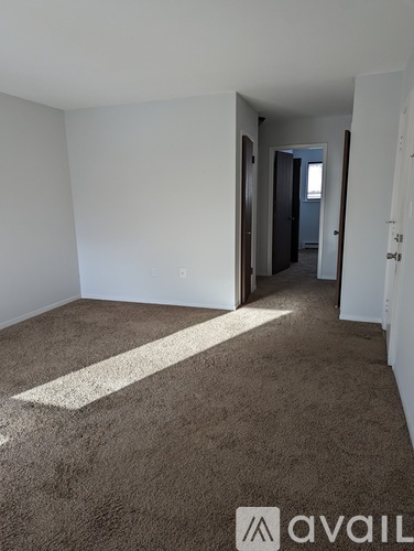 A room with a carpeted floor and a white line painted on it.