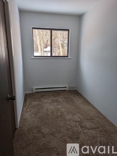 A room with a carpeted floor and a window showing trees outside.