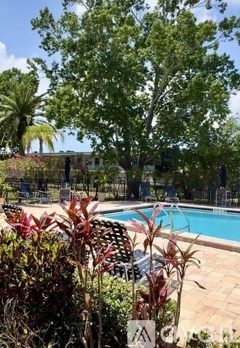 A pool surrounded by green plants and trees.