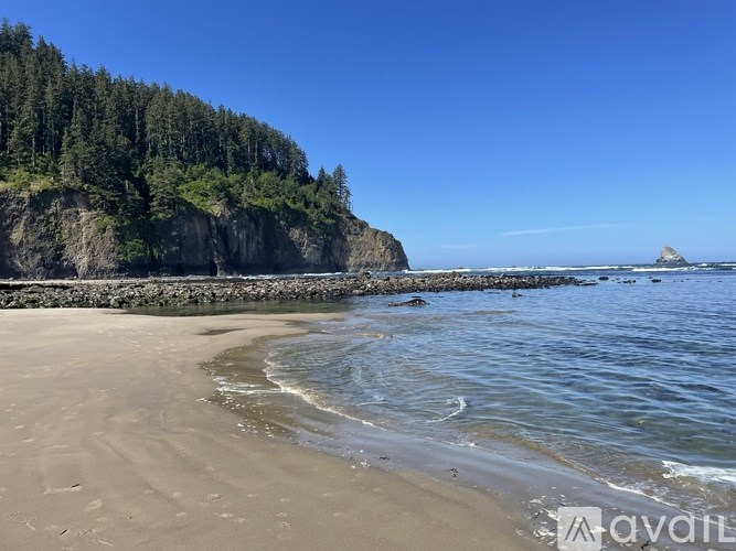 A beach with a rocky cliff and trees on top.