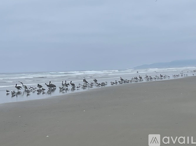 A flock of birds are standing on the beach.
