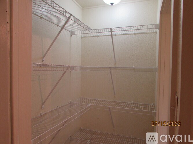 Empty walk-in closet with shelves and a light on.