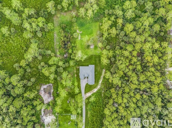 A lush green forest with a clearing in the middle.