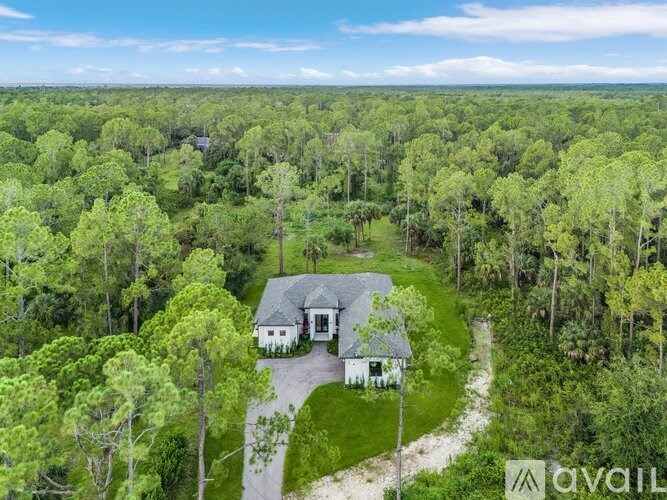 A house is surrounded by trees in a forest.