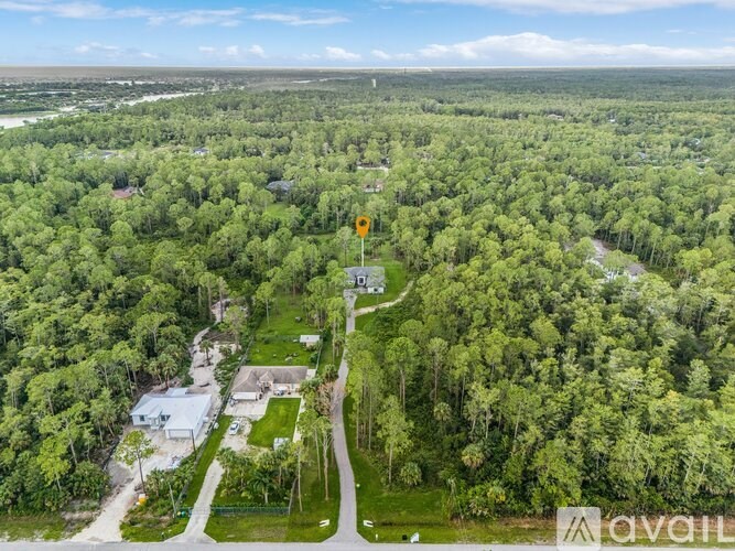 A yellow sign with the letter D on it is in the middle of a wooded area.