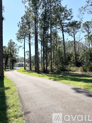 A tree-lined street with a house in the distance.