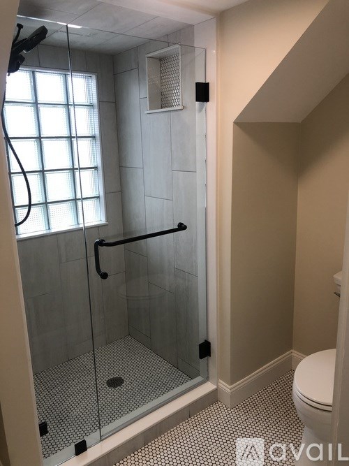 A bathroom with a walk-in shower and a toilet.