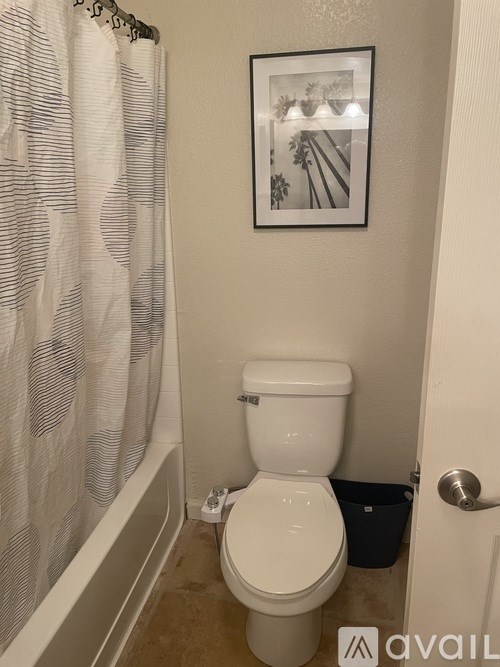 A white toilet in a small bathroom with a shower curtain and a picture on the wall.