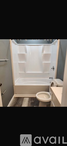 A bathroom with a toilet and a walk-in shower.