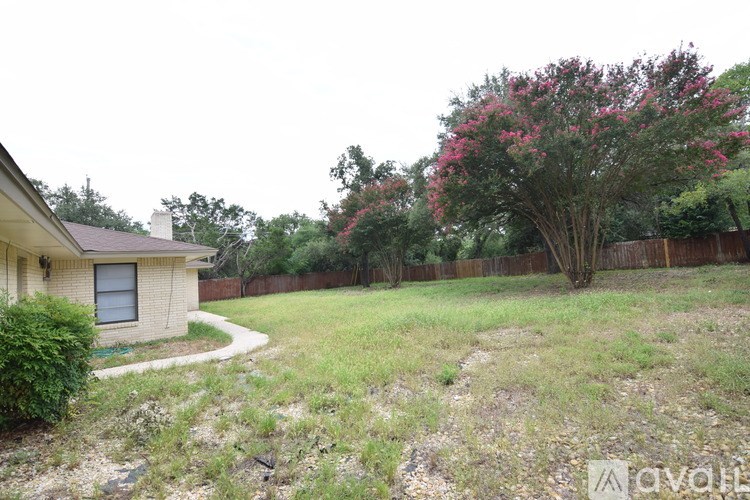 A backyard with a tree and a house.