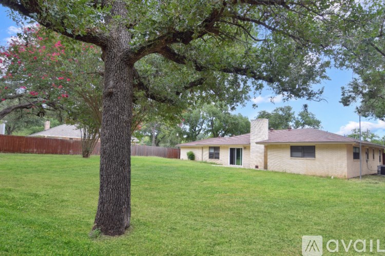 A backyard with a tree and a fence.