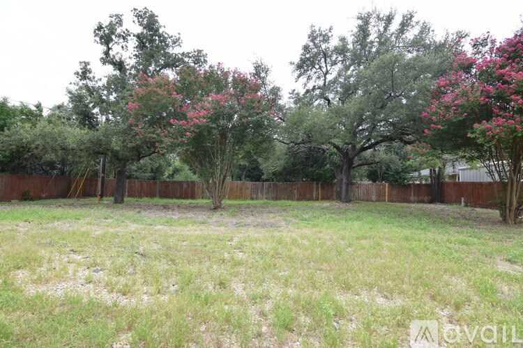 A backyard with a fence and trees.
