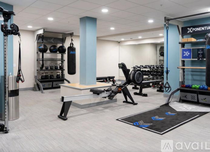 A gym with a variety of equipment including a squat rack, bench, and weights.