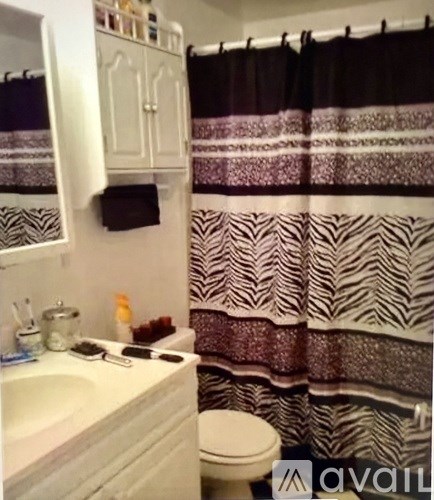 A bathroom with a sink, toilet, and a shower curtain with a zebra print.