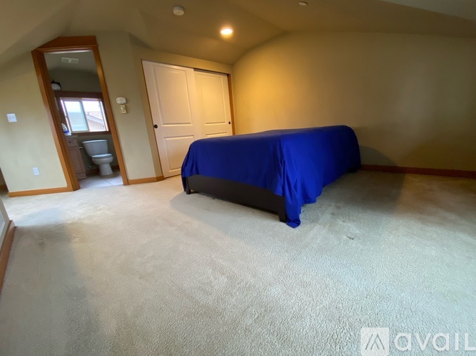 A bedroom with a bed covered in a blue sheet.