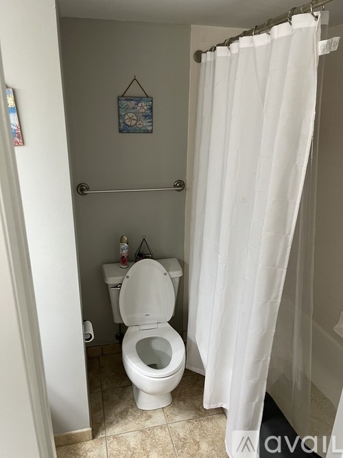 A white toilet with a white shower curtain in front of it.