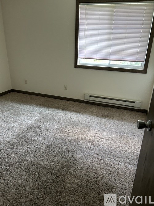 A carpeted room with a window and a door.