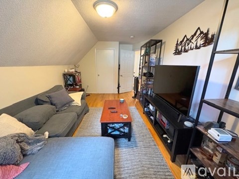 A living room with a grey couch and a television.
